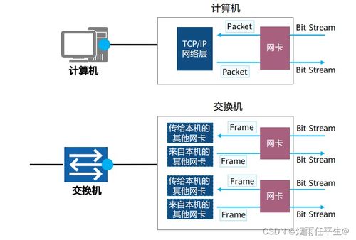 以太网交换基础 构建高效数码网络的核心技术