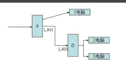 数码网络交换与子网 路由与交换的协同构建